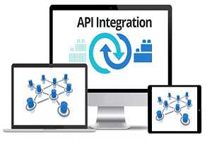 API Integration