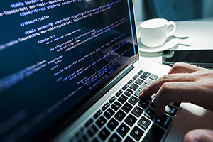 Web Development